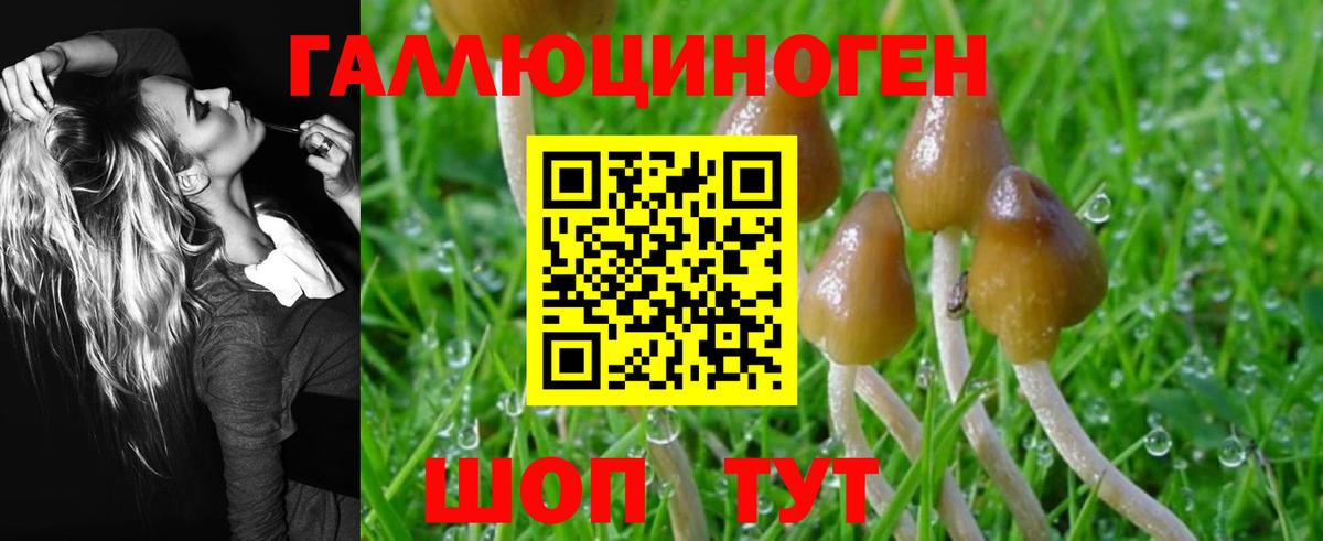 даркнет сайт  Вход с VPN  Камень-на-Оби  Псилоцибиновые грибы MAGIC MUSHROOMS  Псилоцибиновые грибы мухоморы 
