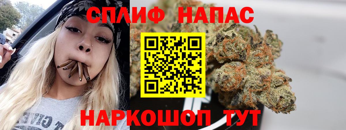 Шишки марихуана тримм  Вход с VPN  Бошки марихуана Bruce Banner  Марихуана Ganja  Марихуана план  Камень-на-Оби 